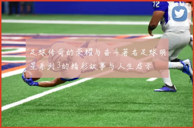 足球传奇的荣耀与奋斗著名足球明星系列3的精彩故事与人生启示