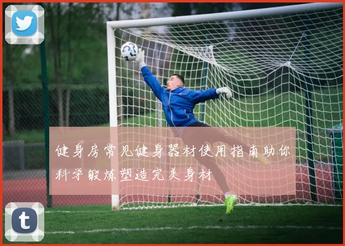 健身房常见健身器材使用指南助你科学锻炼塑造完美身材